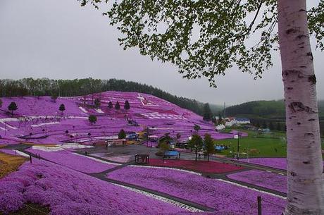 Giardini del mondo: Higashimokoto Flower Park in Hokkaido (Giappone)