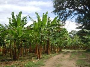 Nicaragua: terra dei sorrisi e della natura incontaminata