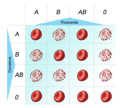 Trasfusioni di sangue come procedere in sicurezza