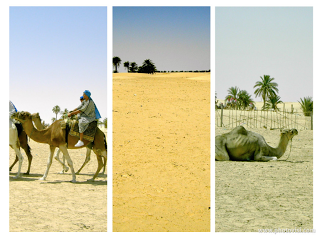 Cous Cous , tante spezie e ....TUNISIA !!!