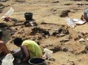 Novità antico vino europeo