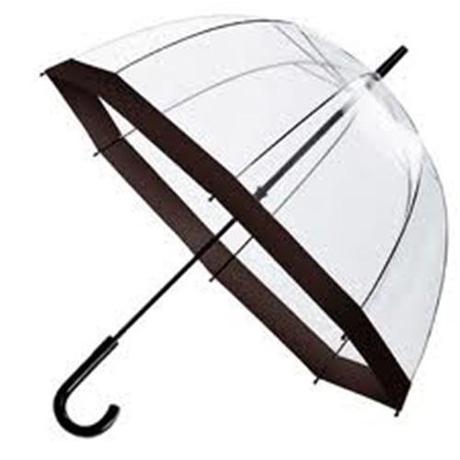 1 umbrella