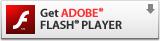 Scarica Adobe Flash Player cliccando qui