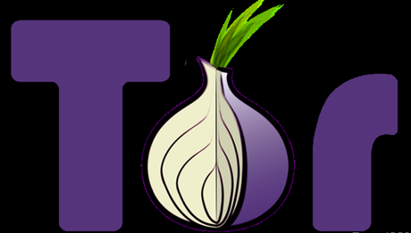 Tor. La cipolla che rende invisibili