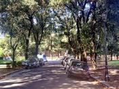 Questo volgare autosalone vetture usate Villa Borghese. Forse artisticamente rilevante villa urbana mondo