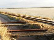 foto della settimana: barca alle saline Cervia