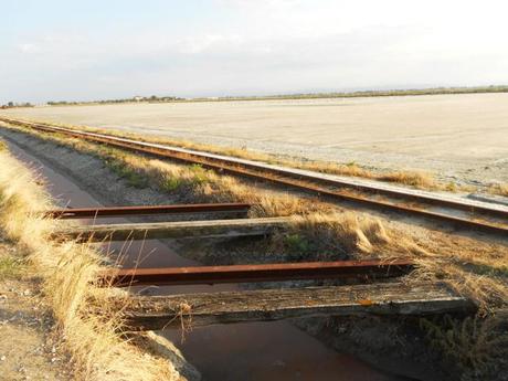 La foto della settimana: in barca alle saline di Cervia