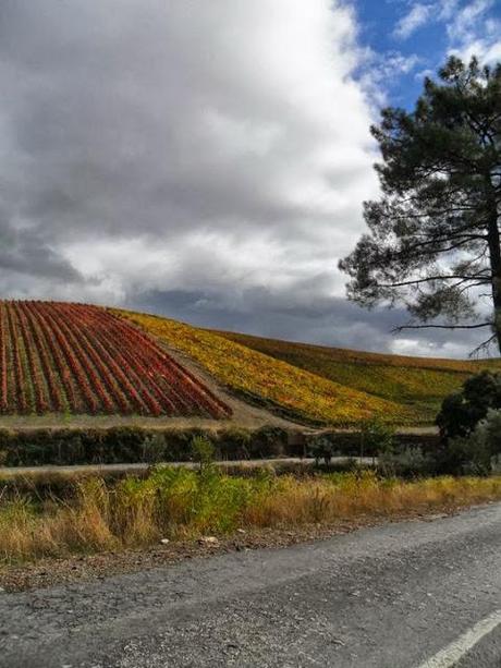 Autunno nel Douro. Vino e non solo