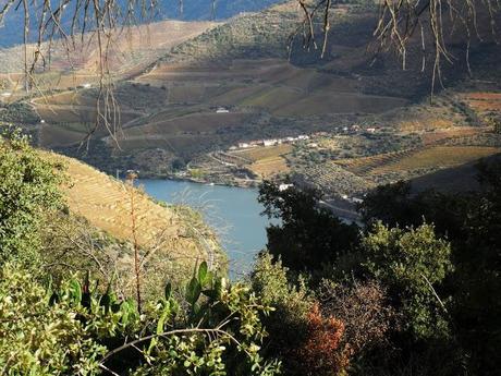 Autunno nel Douro. Vino e non solo