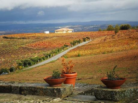 Autunno nel Douro. Vino e non solo