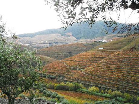 Autunno nel Douro. Vino e non solo