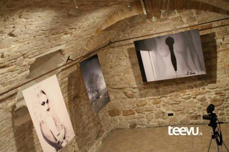 1187253_591286447584500_1732892274_n