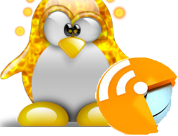 Kali Linux è una distribuzione basata su Debian pensata per l'informatica forense e la sicurezza informatica.