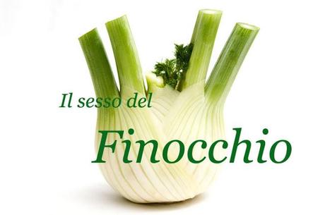 Il Sesso del Finocchio