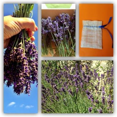 Diy // Sacchetto Lavanda