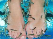 Fish pedicure: scopri dettagli della “pedicure pesci”