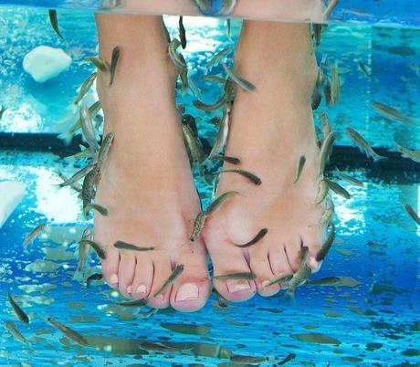 fish pedicure