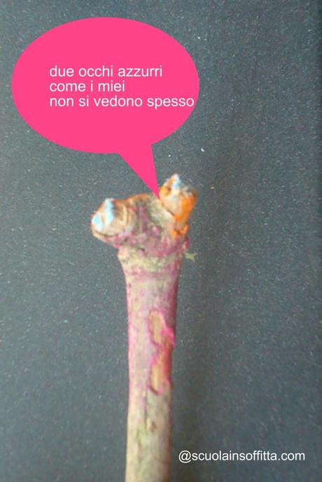 bastoni_gioco4