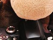 guardi troppo display della fotocamera scimmia!