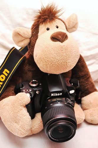 3880058116 f88660b996