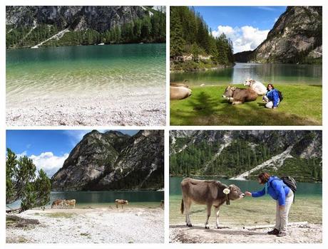 Alto Adige: Lago di Braies