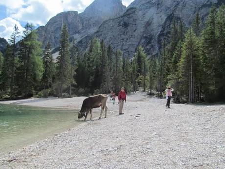 Alto Adige: Lago di Braies