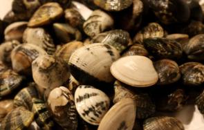 371bad3b9b56150d3b2492f2ad8f742b_big