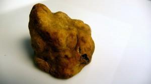 Fiera Internazionale del Tartufo d’Alba. Tartufo d'Alba