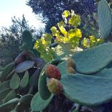 Sicilia: tutti i colori delle isole Eolie