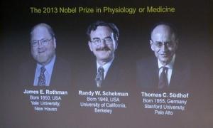 Nobel per la medicina a Rothman, Schekman e Sudhof: hanno studiato il trasporto nelle cellule