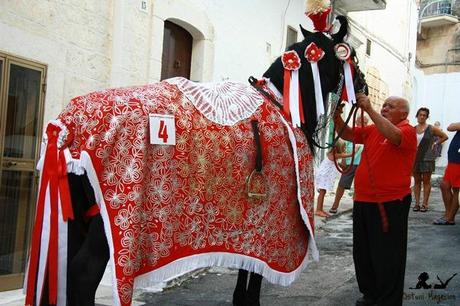 Cavalli e Cavalieri: la Cavalcata di Sant'Oronzo | ESTATE & TRADIZIONI