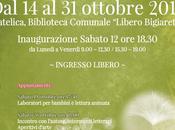 Sogni carta: letture animate Matelica (Mc)