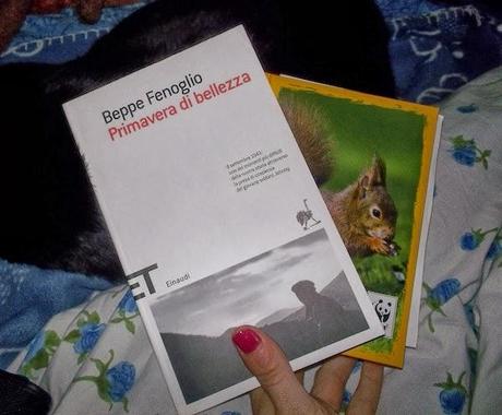 un po' di frivolezze