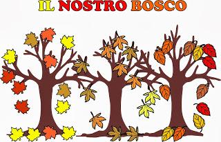 IL BOSCO IN SEZIONE