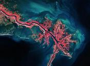 Observing Earth: Photos from European Space Agency