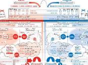 Information Graphics bello utile