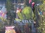 Prada Expo Shanghai