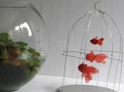 decorations