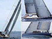 MAGIC CARPET SQUARED VINCE NESPRESSO TROPHY