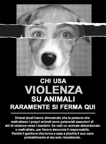 Animali in scatola...