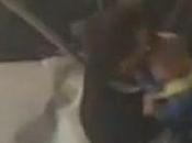 Video shock: padre investito salva figlio