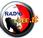 RADIO FREE: radio nell’web