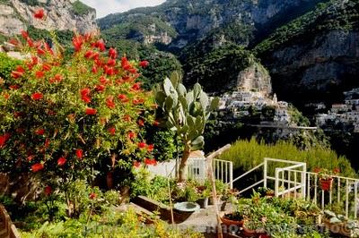 Fiori nel mio giardino