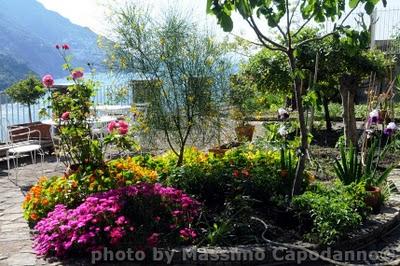 Fiori nel mio giardino