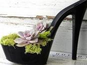 vasi piacciono alle donne