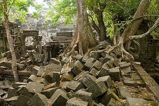 Lettere dalla Kampuchea 16: Solo nella foresta.