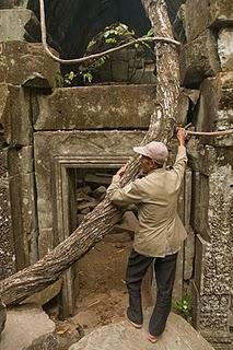 Lettere dalla Kampuchea 16: Solo nella foresta.