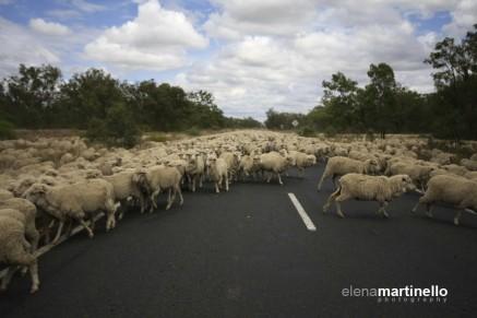 Elena Martinello: tra sport e natura