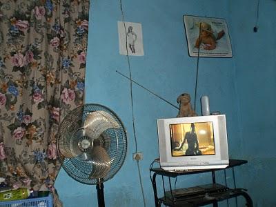 La metamorfosi di Linda