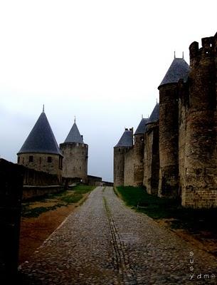 Schizzando Carcassonne..